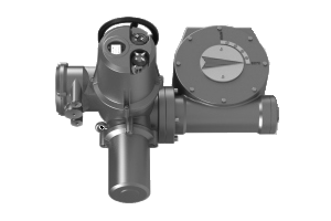 Ридан 065L8258R — Электропривод AMB-M-20 + MY-4-1SD 380В с блоком управления RY; IP67; для шаровых кранов RJIP DN500 стандартный проход